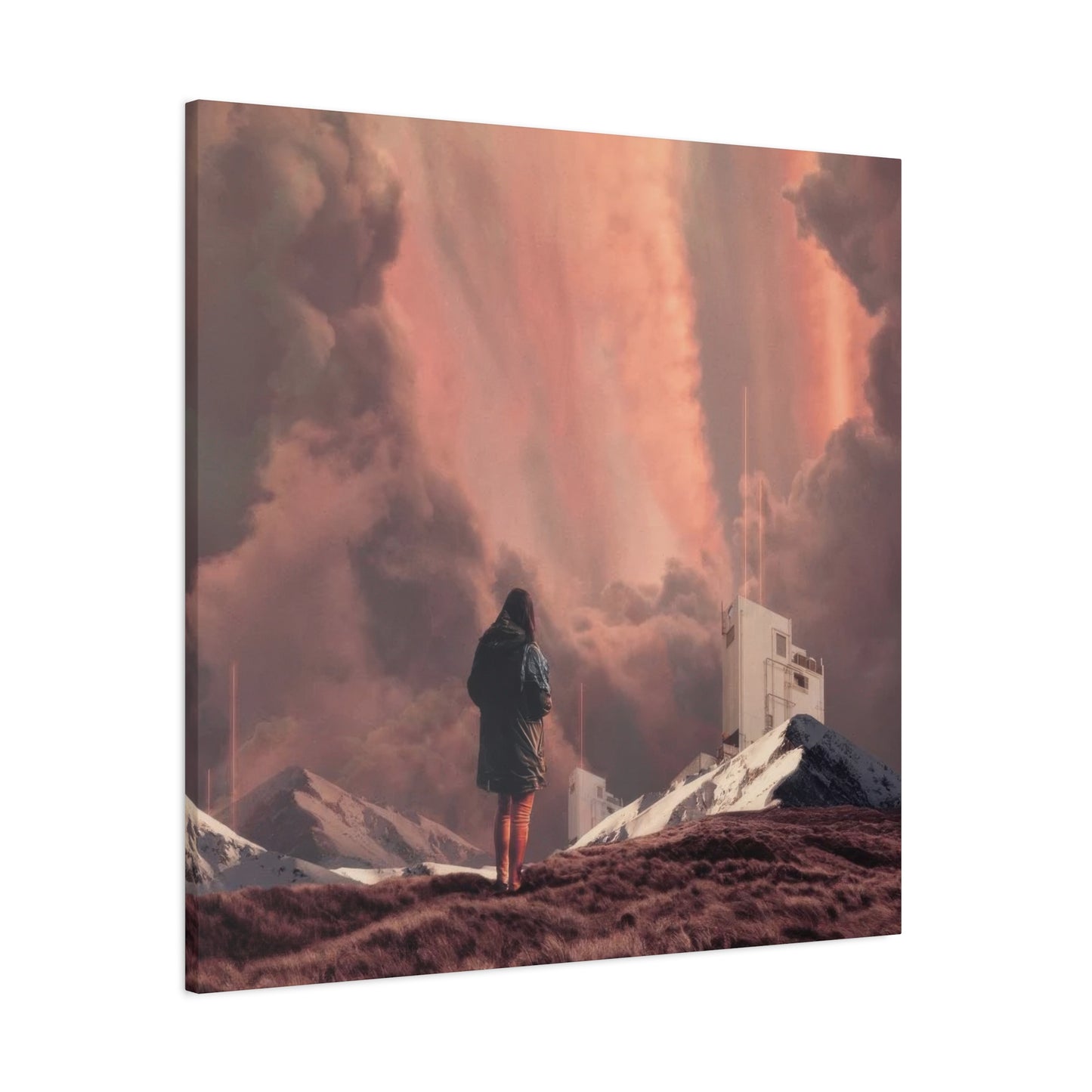 Frank Moth Epiphany Wall Art & Canvas Prints