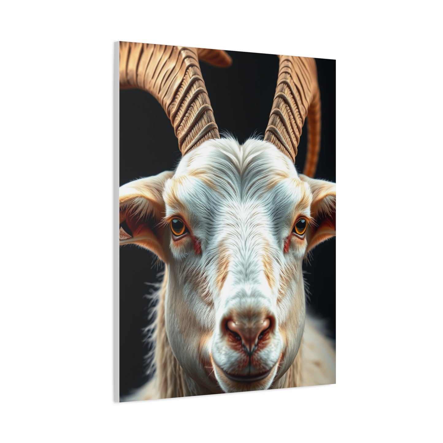 Sublime Goat Tableau Wall Art & Canvas Print