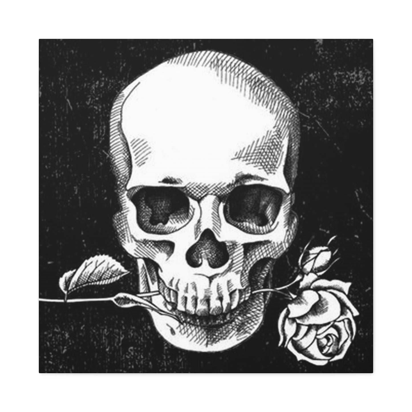 Rose In Skull Mouth Wall Art & Canvas Prints
