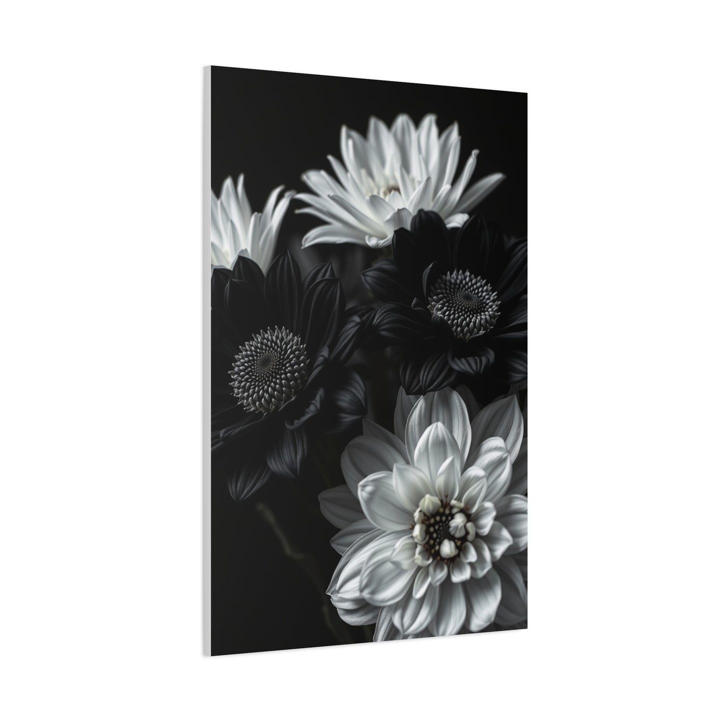 Monochrome Bloom Elegance Wall Art & Canvas Print