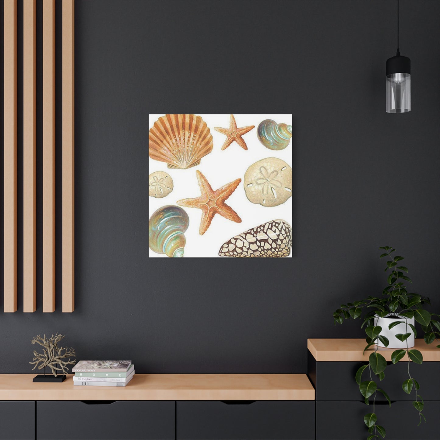 Star Sea Shells Wall Art & Canvas Prints
