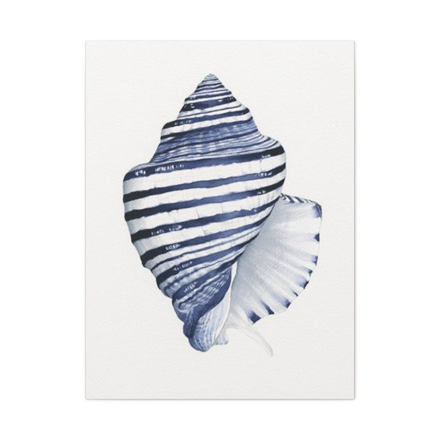 Blue & White Shell Drawing Wall Art & Canvas Prints