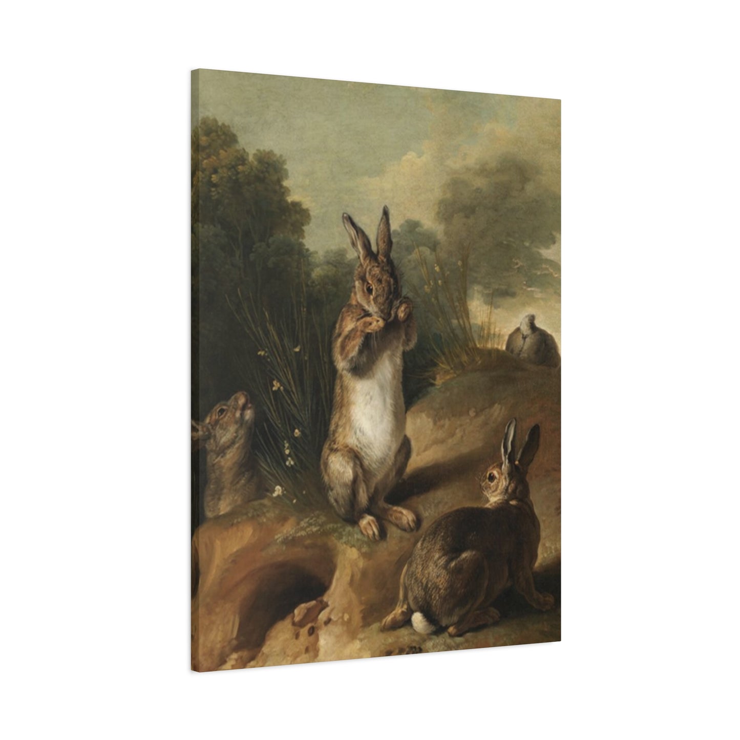 Rabbit In Wild Painting Wall Art & Canvas Prints