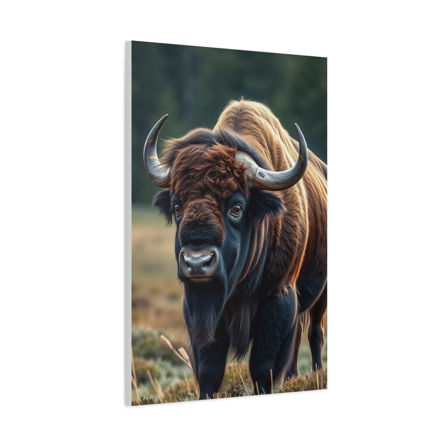 Regal Plains Portraiture Wall Art & Canvas Print