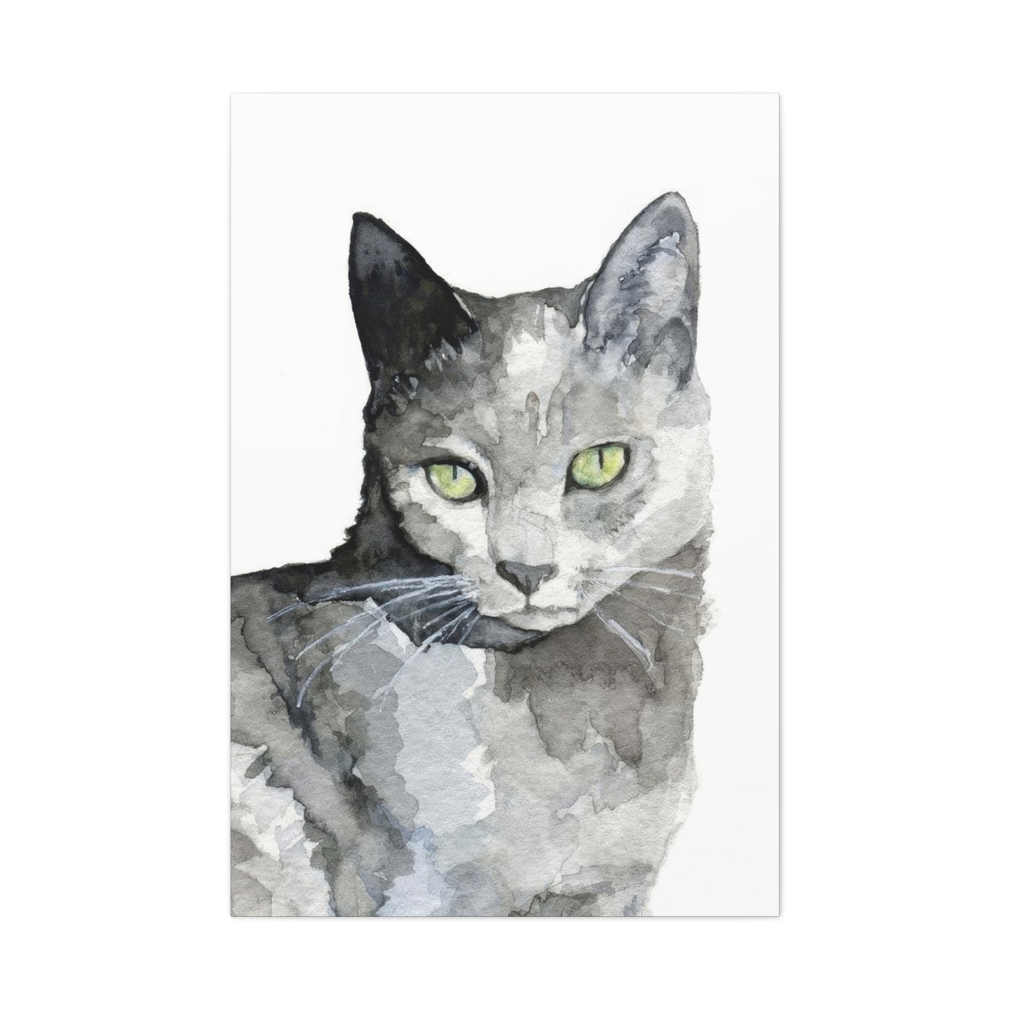 Cat Grey Wall Art & Canvas Prints