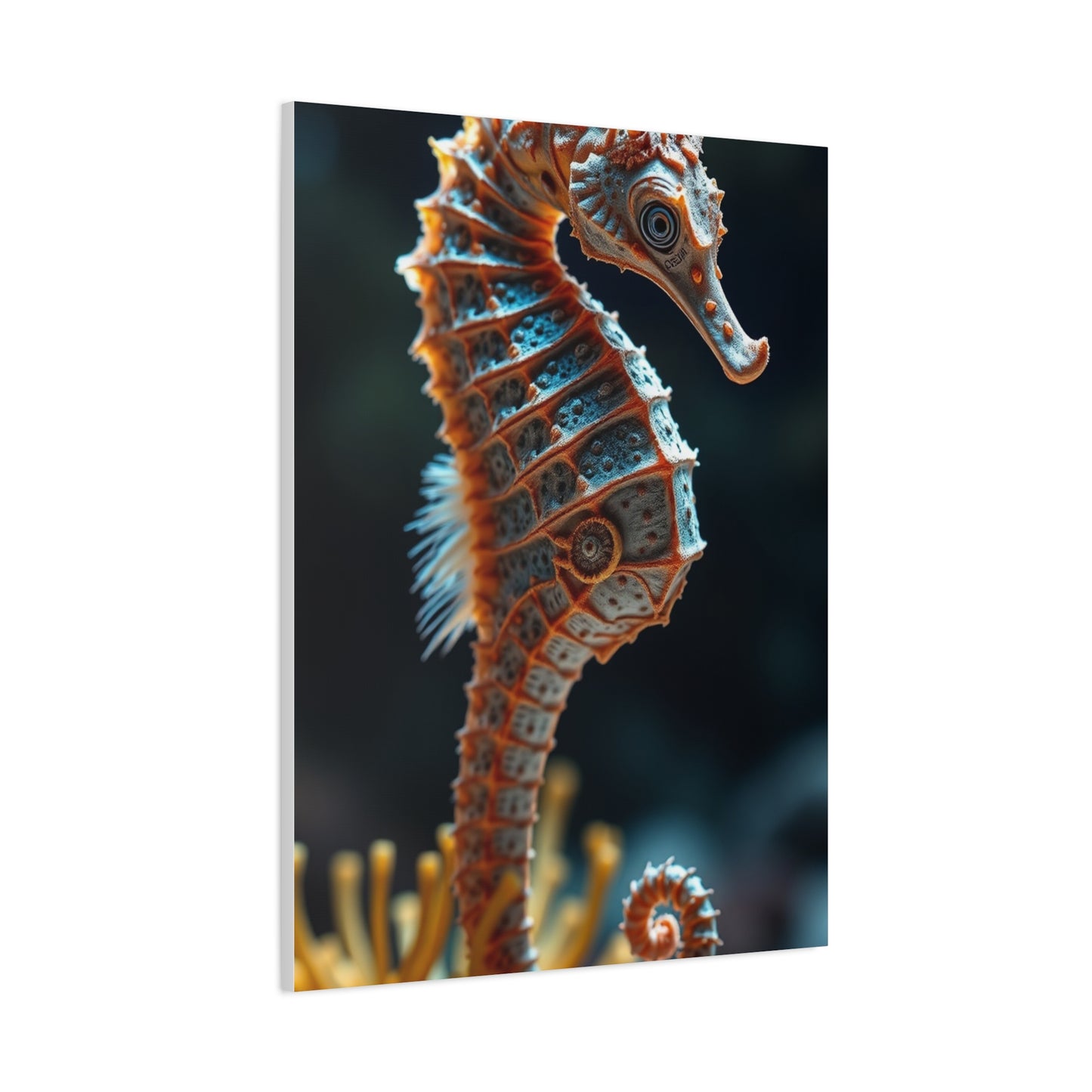 Seahorse Art Canvas Art 8 Wall Art & Canvas Print