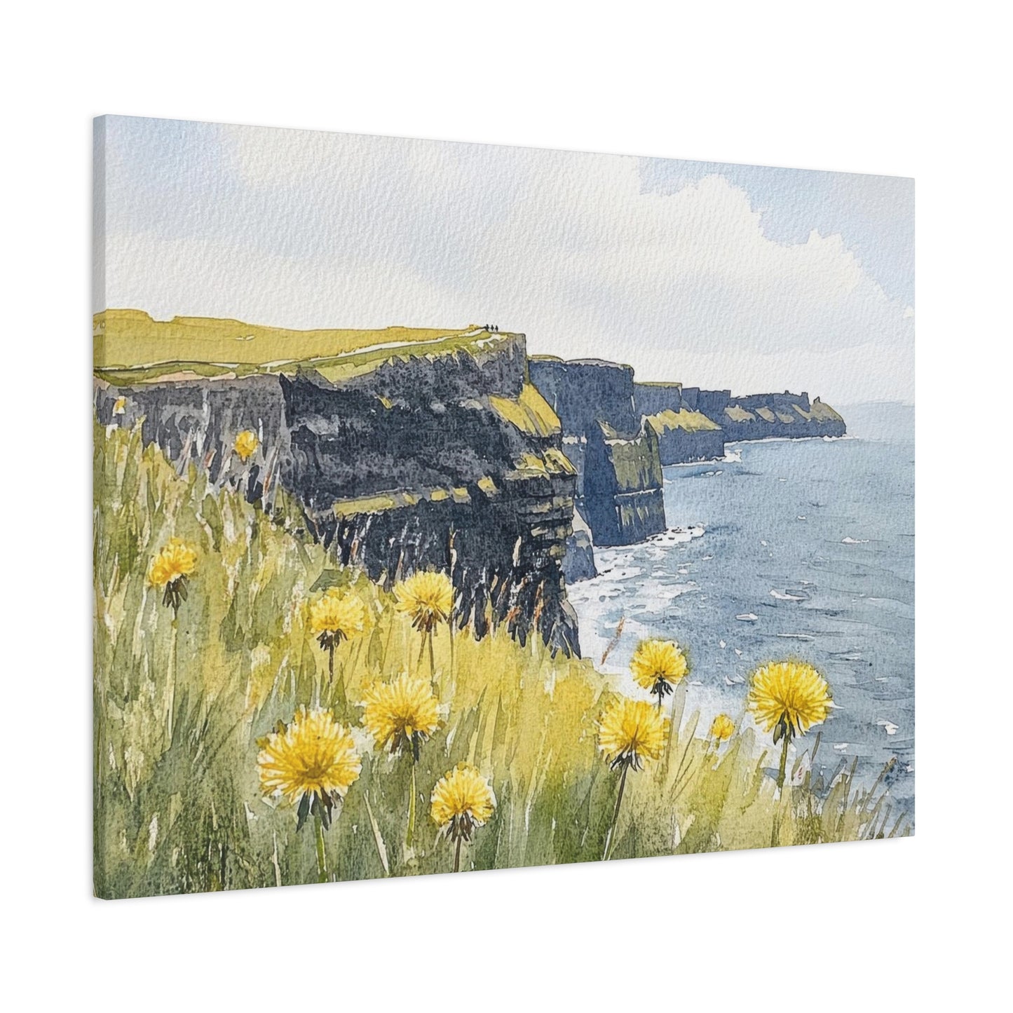 Cliff Of Moher Ireland Wall Art & Canvas Prints