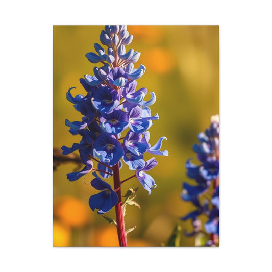 Bluebonnet Flower Art Luxury Canvas Wall Art & Canvas Print