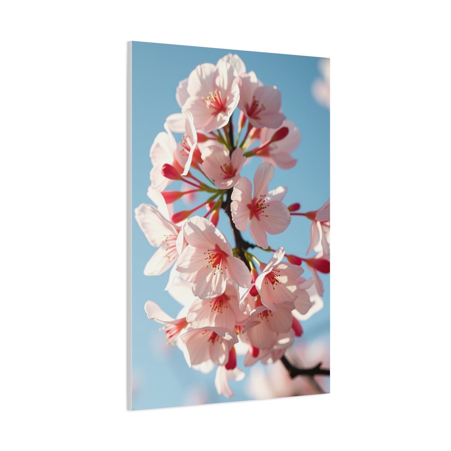 Sakura Elegance Canvas Wall Art & Canvas Print