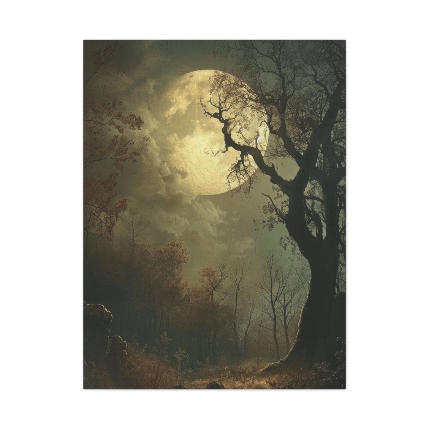 Moon At Night Dark Academia Wall Art & Canvas Prints