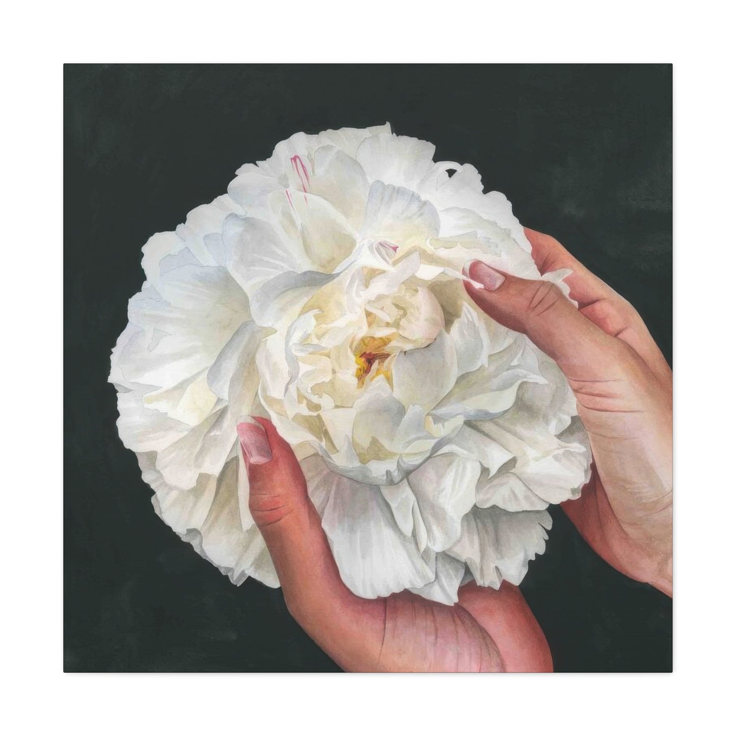 Grace Popp Holding White Flower Wall Art & Canvas Prints