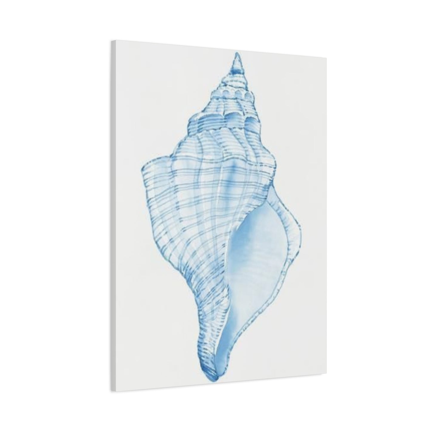 Blue Shell Drawing Wall Art & Canvas Prints