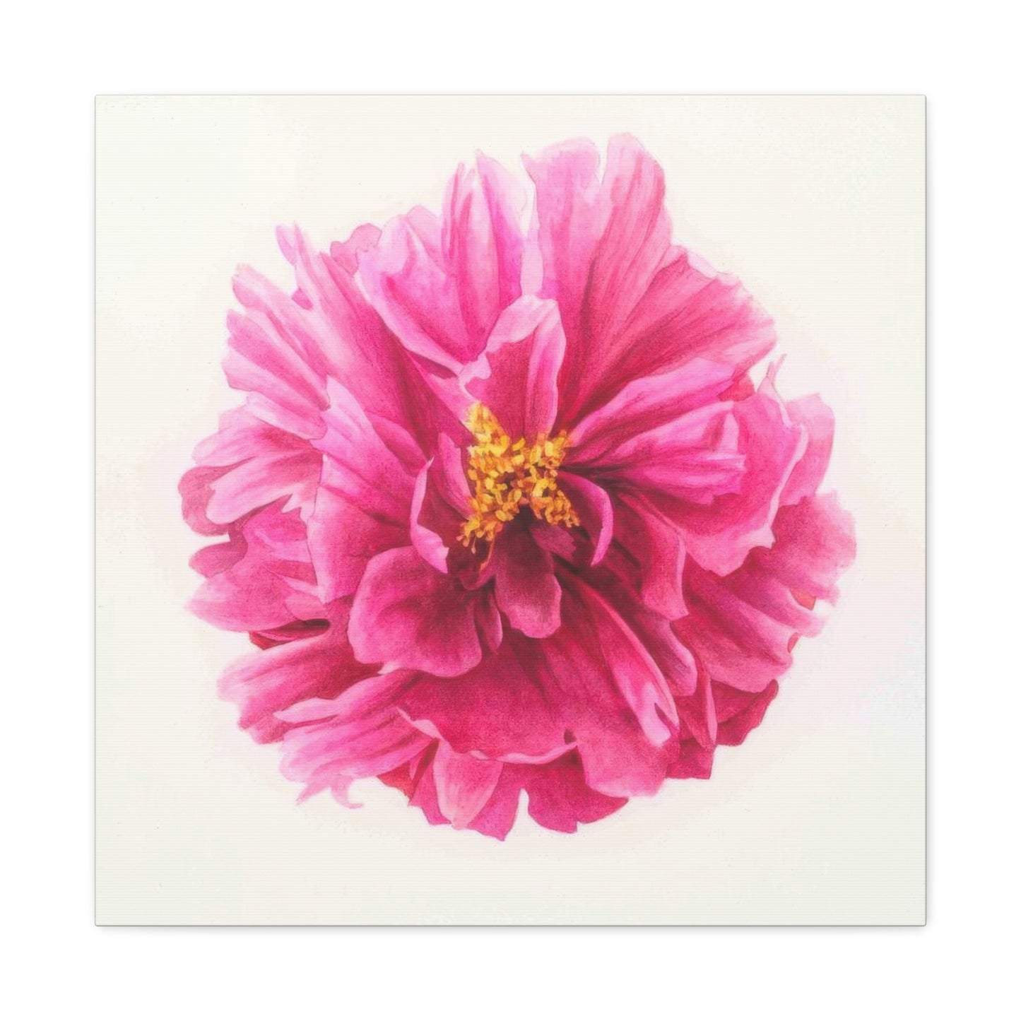 Grace Popp Pink Flower Head Wall Art & Canvas Prints
