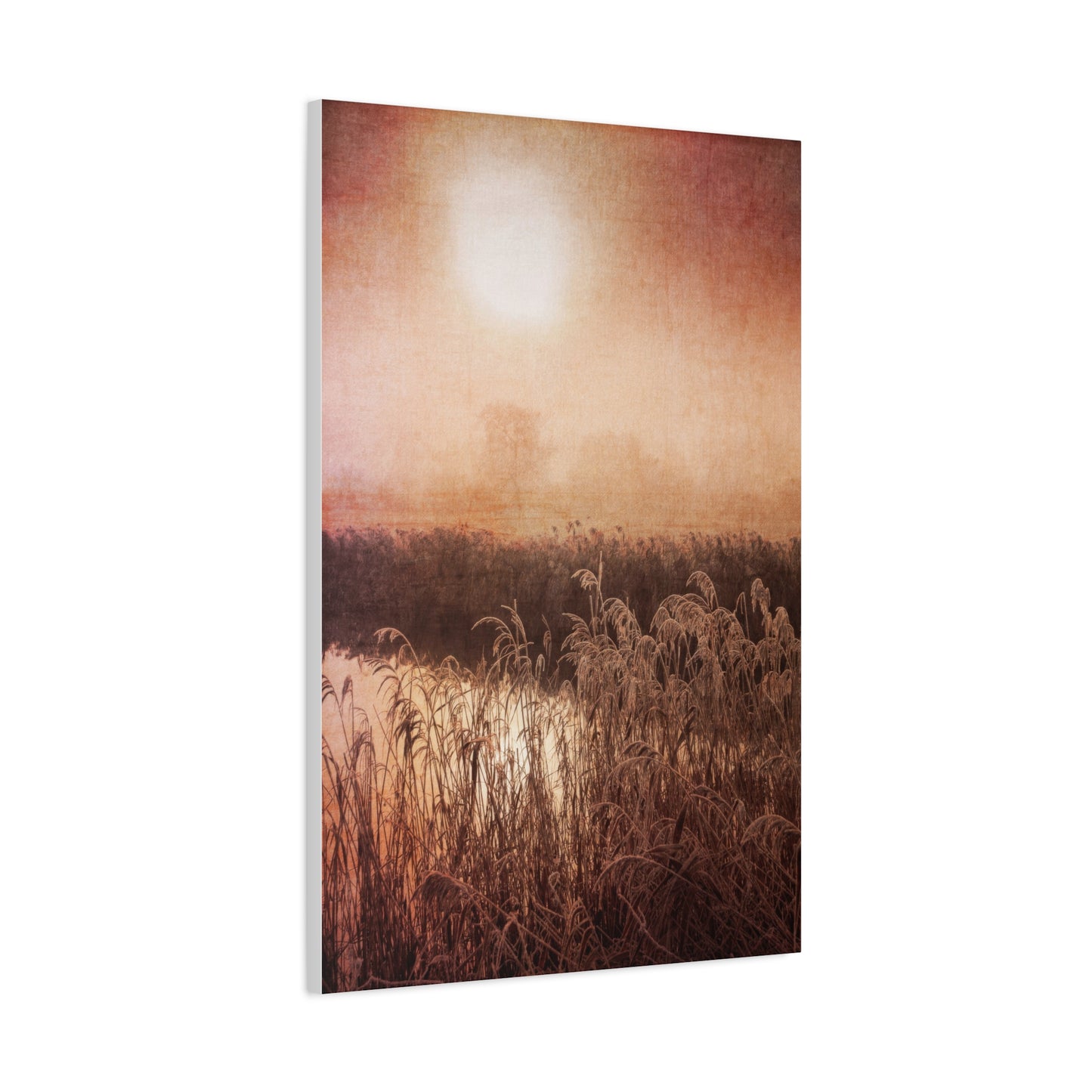 Golden Hour Marsh Wall Art & Canvas Prints