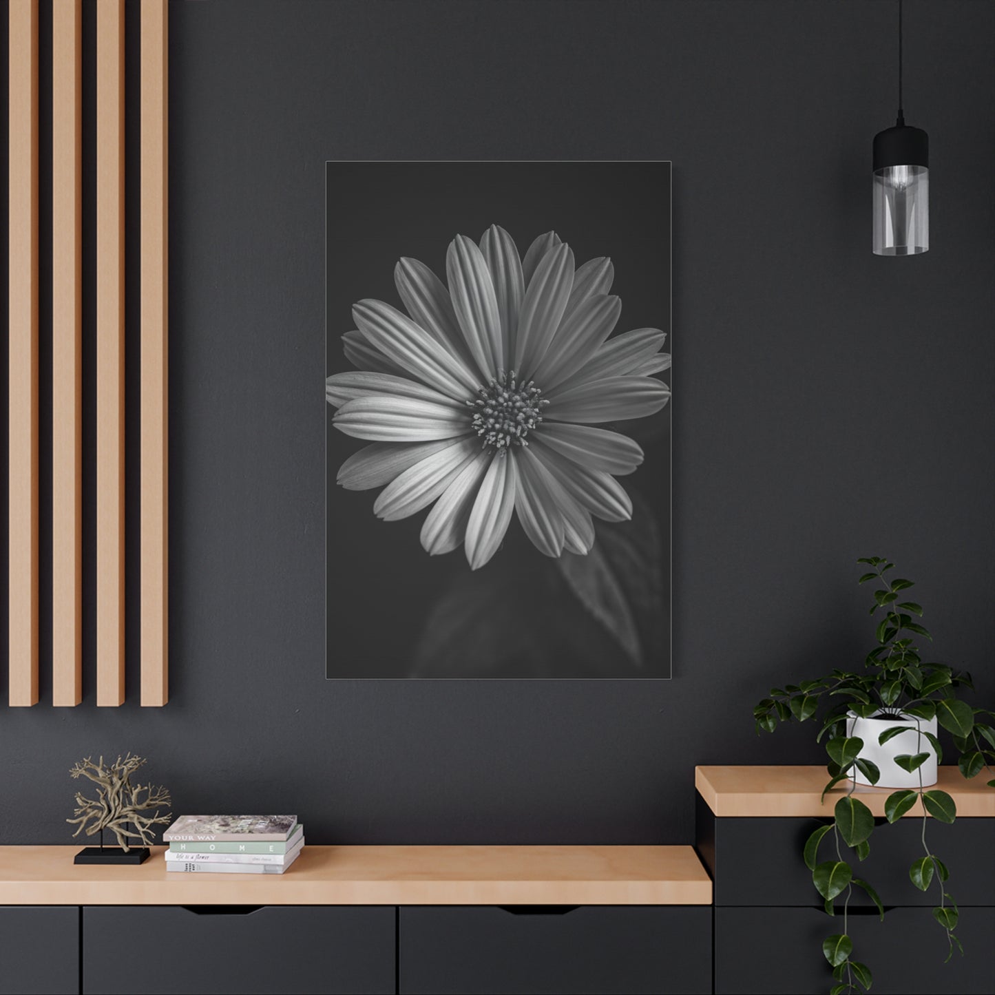 Radiant Daisy in Shadow Wall Art & Canvas Prints