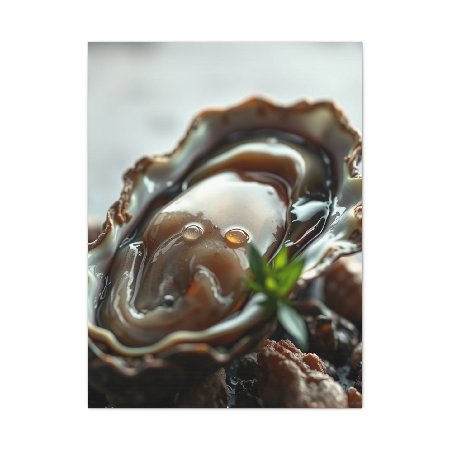 Oyster Art Canvas Art 1 Wall Art & Canvas Print