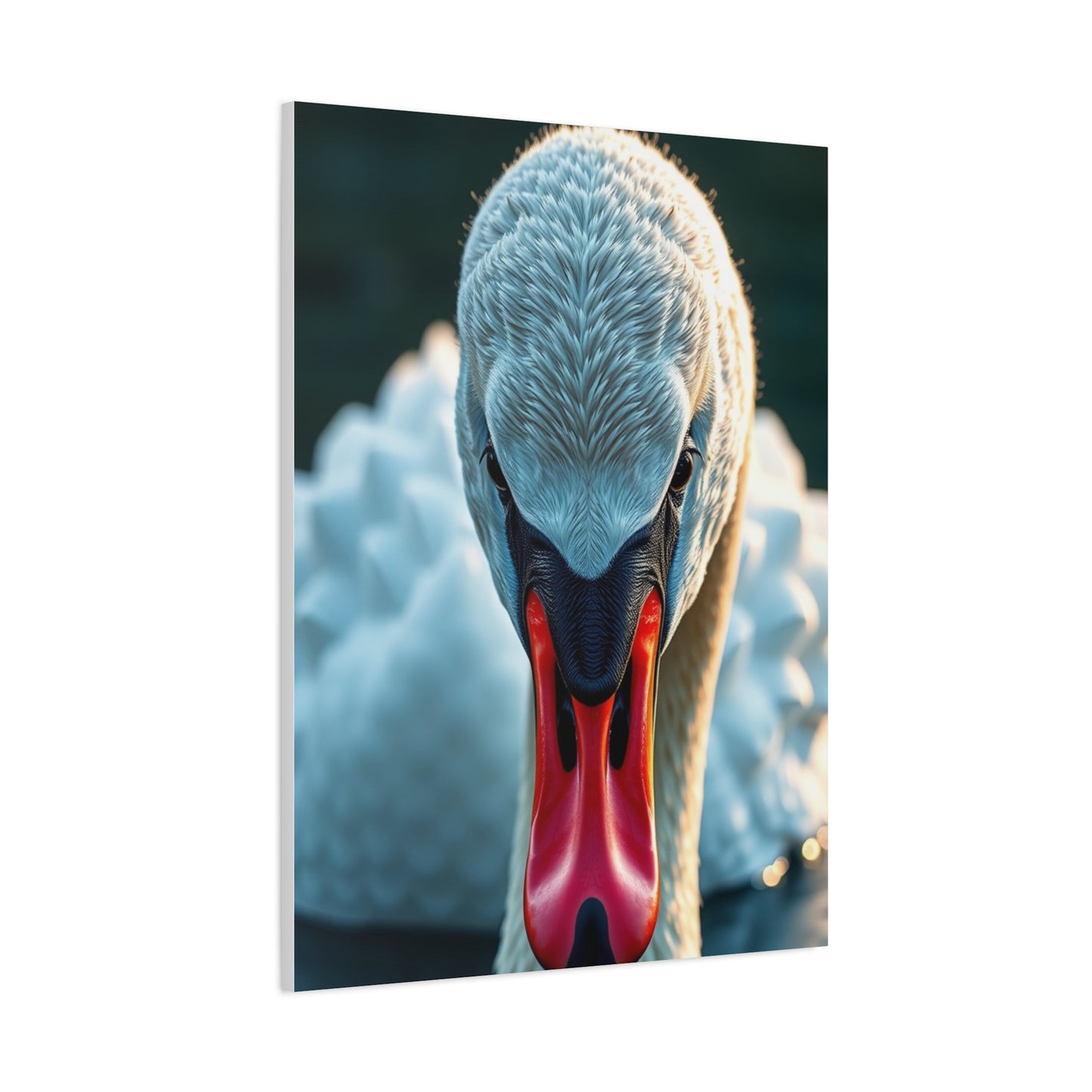 Swan Art Canvas Art 9 Wall Art & Canvas Print