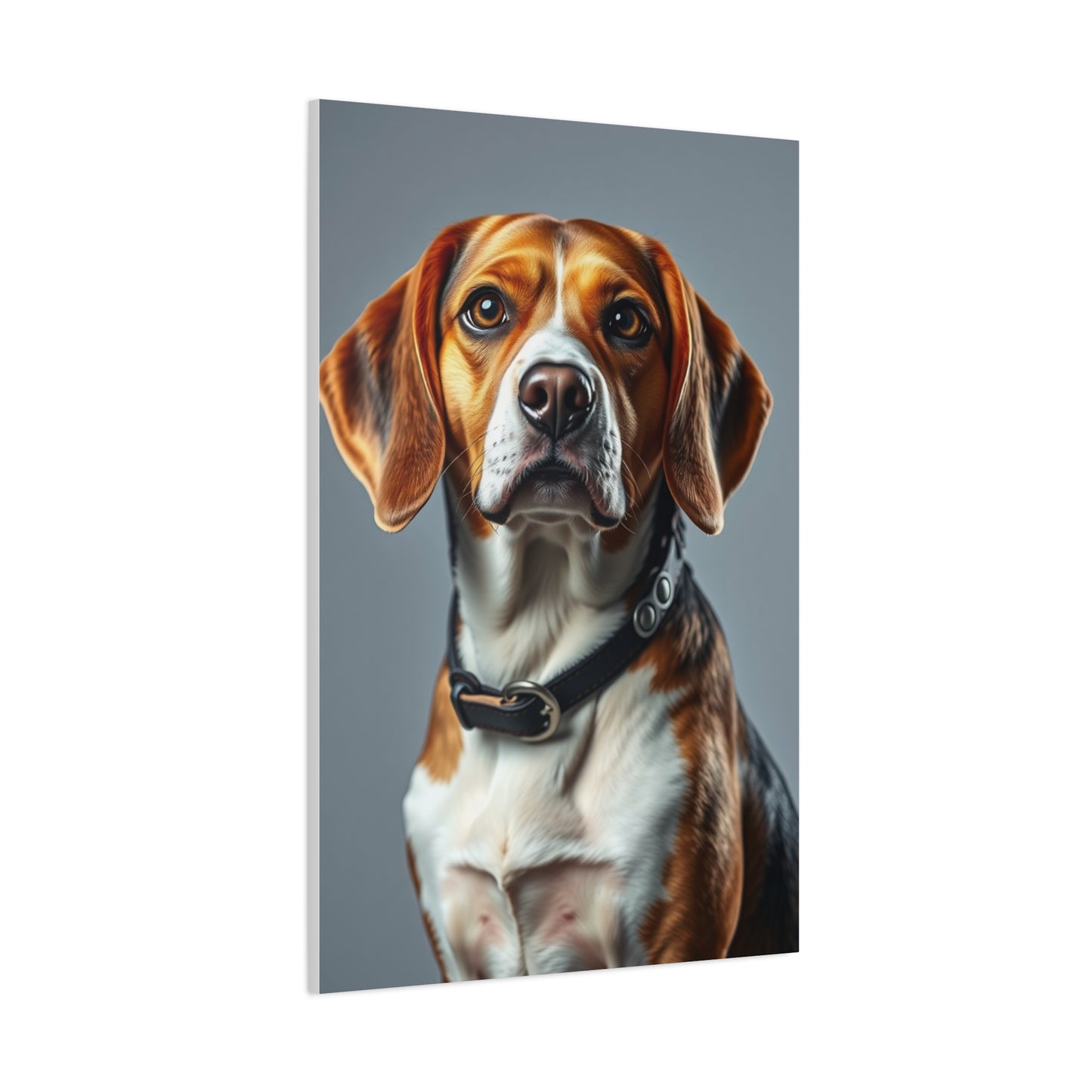 Supreme Beagle Art Collection Wall Art & Canvas Print