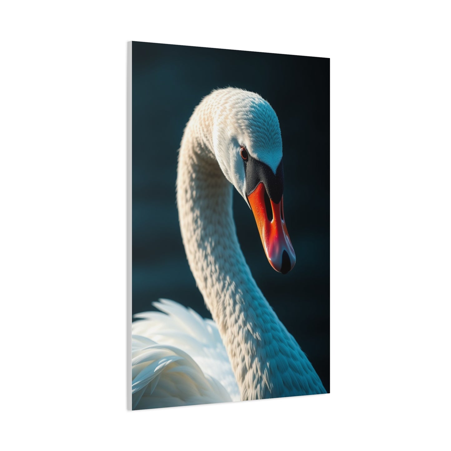 Swan Art Canvas Art 8 Wall Art & Canvas Print