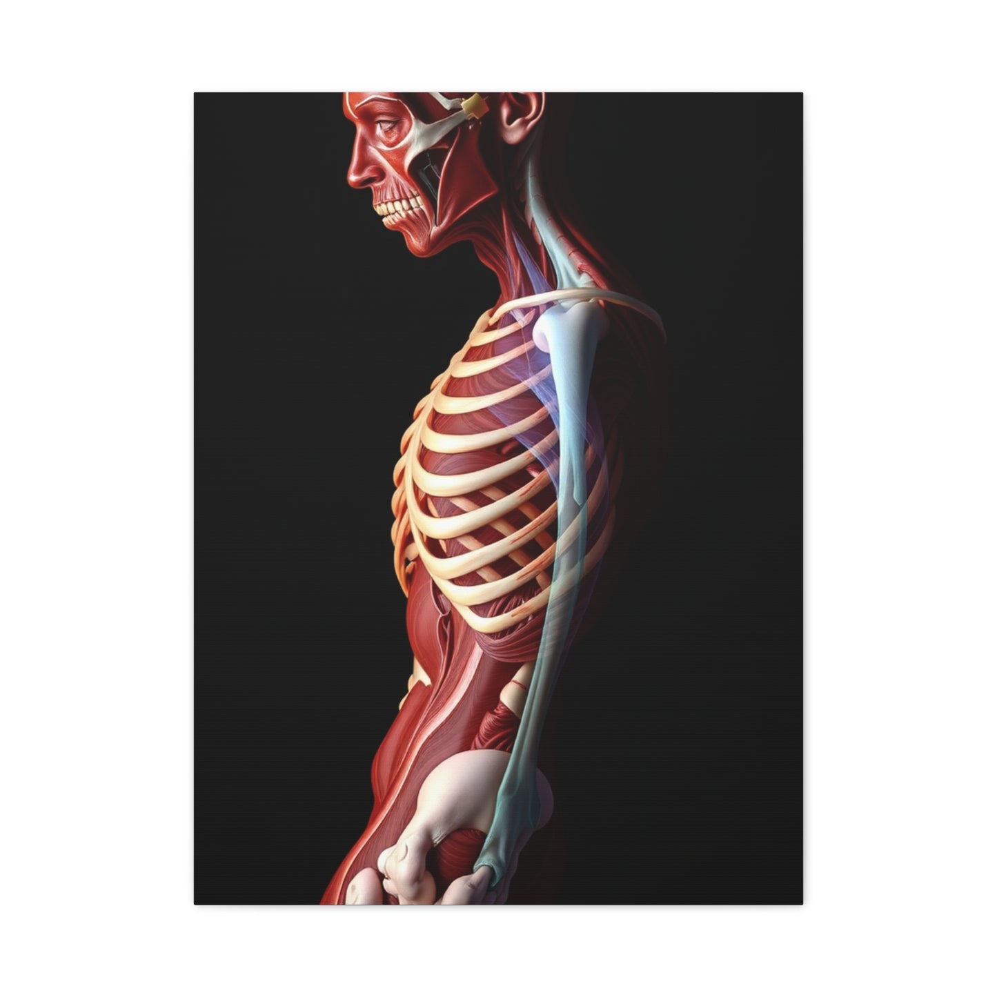 Supreme Art Collection Anatomy Wall Art & Canvas Print