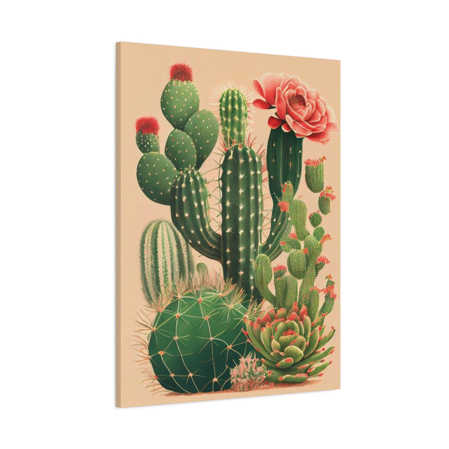 Cacti and Cacti Flowers Wall Art & Canvas Prints