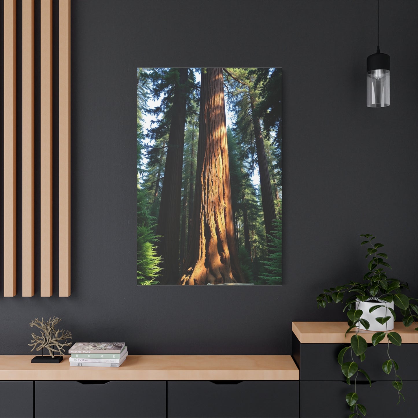 Supreme Redwood Tree Art Beautiful Collection Wall Art & Canvas Print