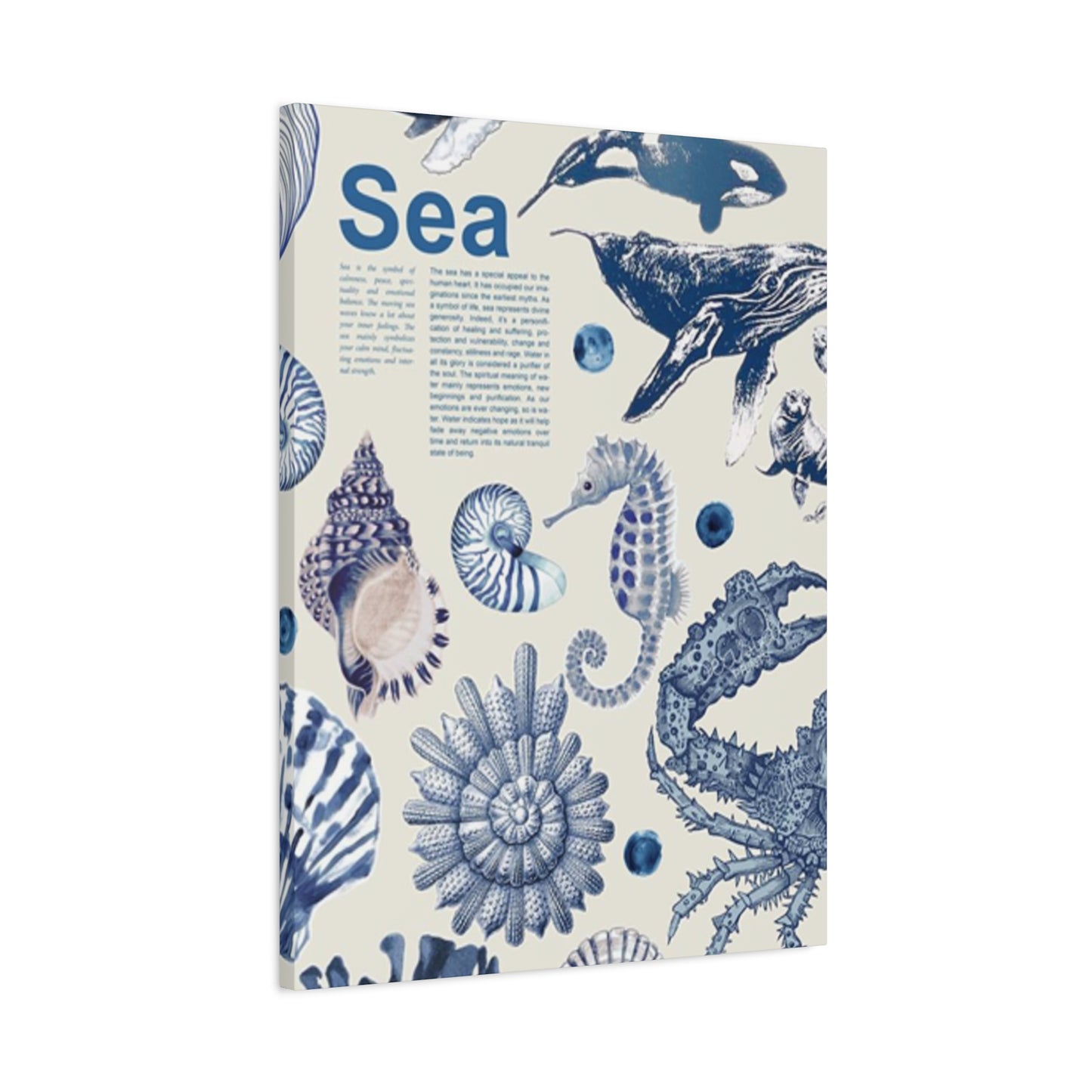 Beautiful Sea Creatures Poster Wall Art & Canvas Prints