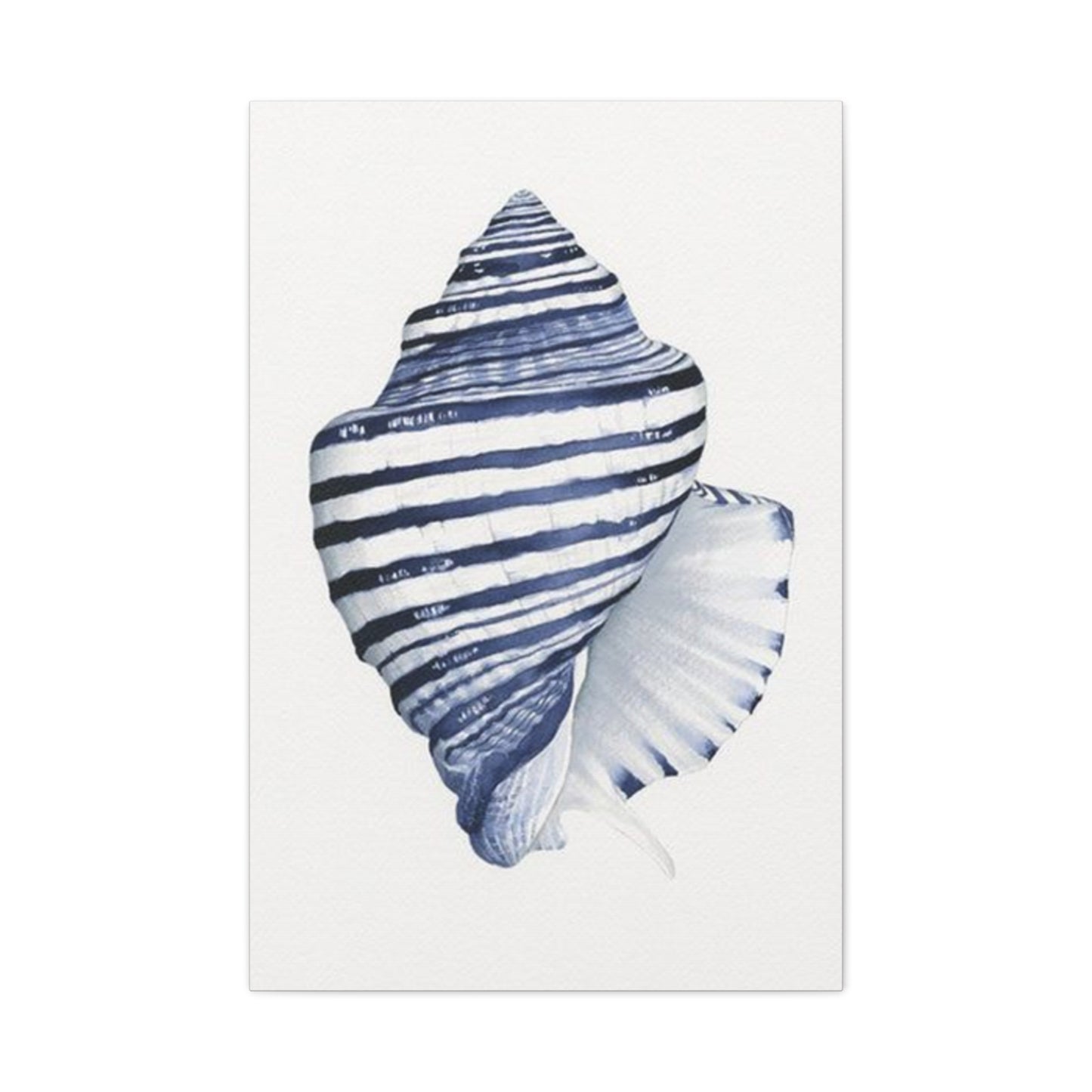 Blue & White Shell Drawing Wall Art & Canvas Prints