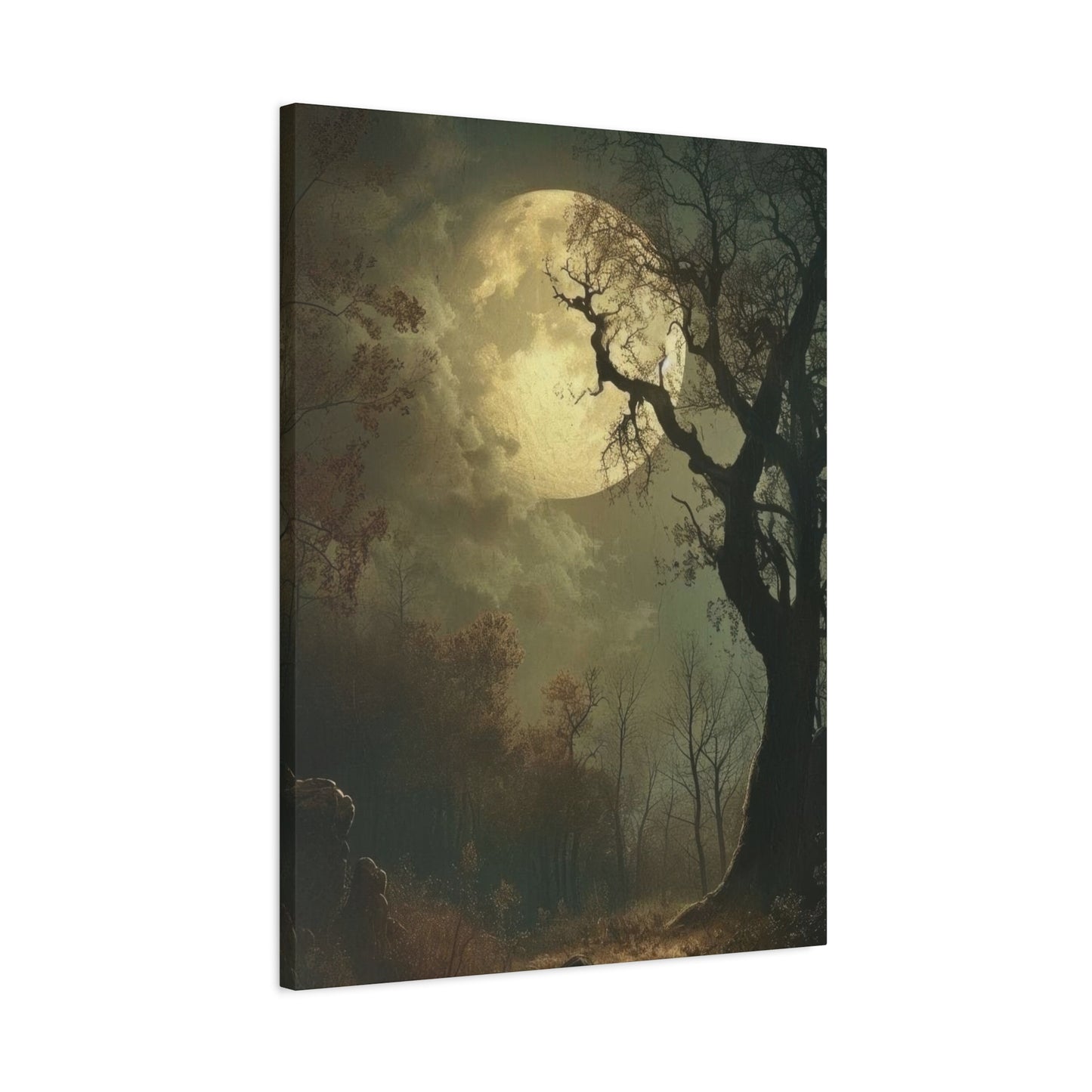Moon At Night Dark Academia Wall Art & Canvas Prints