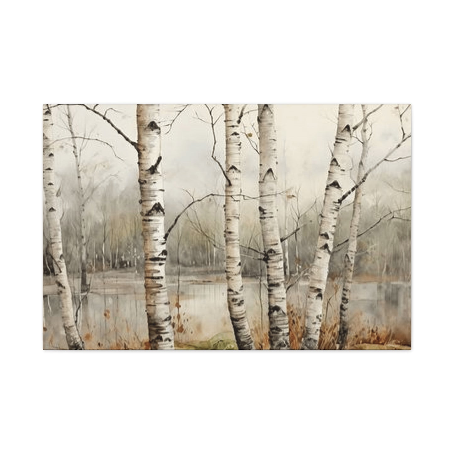 Birch Trees Beside Lake Wall Art & Canvas Prints