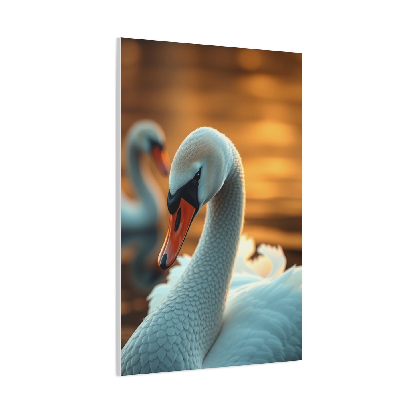 Swan Art Canvas Art 2 Wall Art & Canvas Print