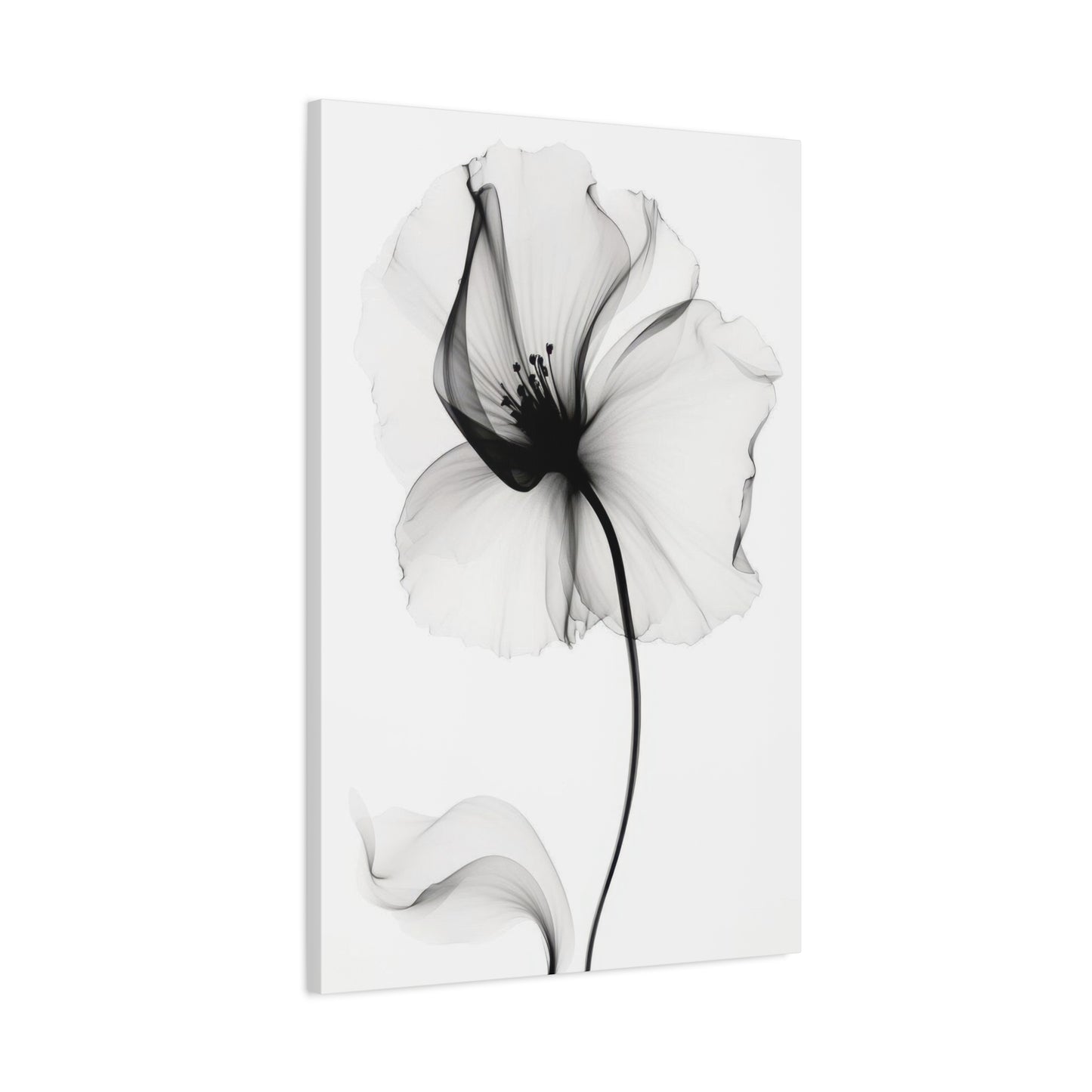 Flower Grey Wall Art & Canvas Prints