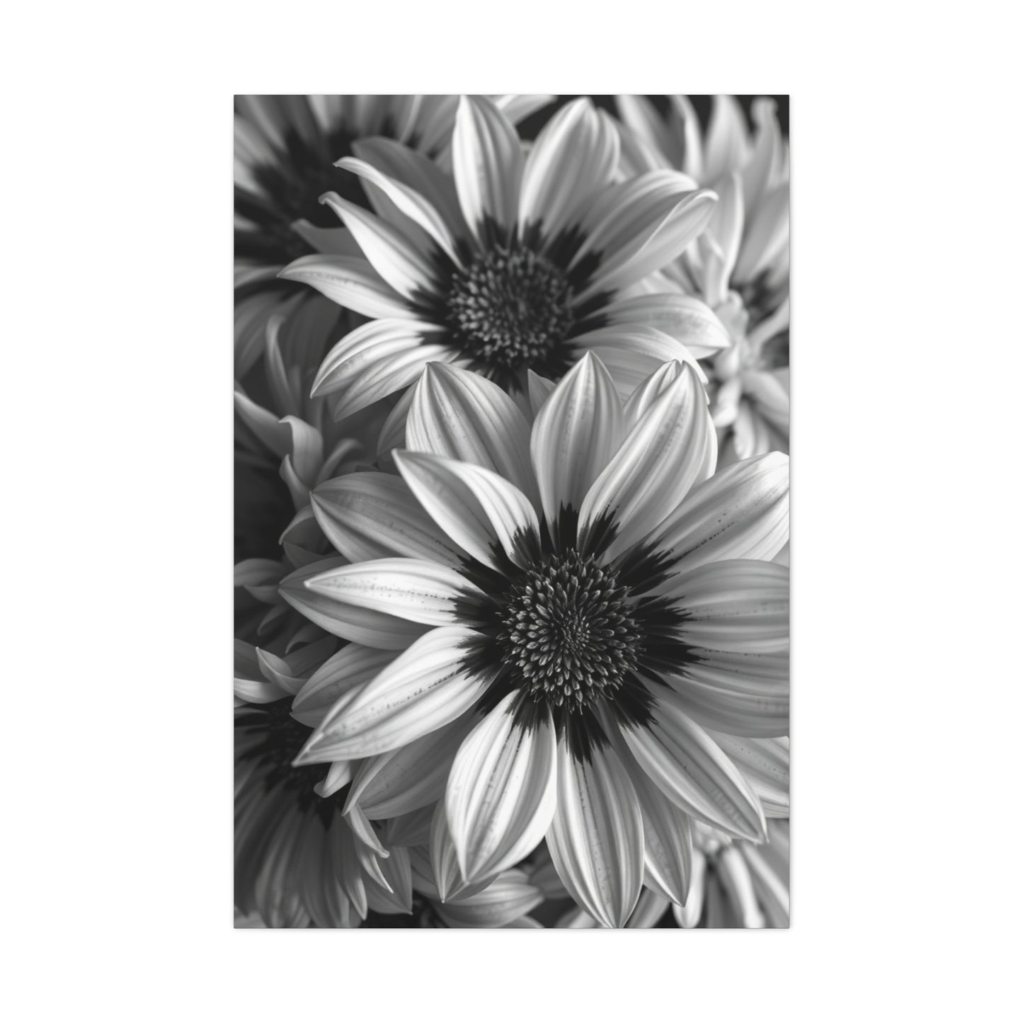 Ebon & Ivory Petal Harmony Wall Art & Canvas Print