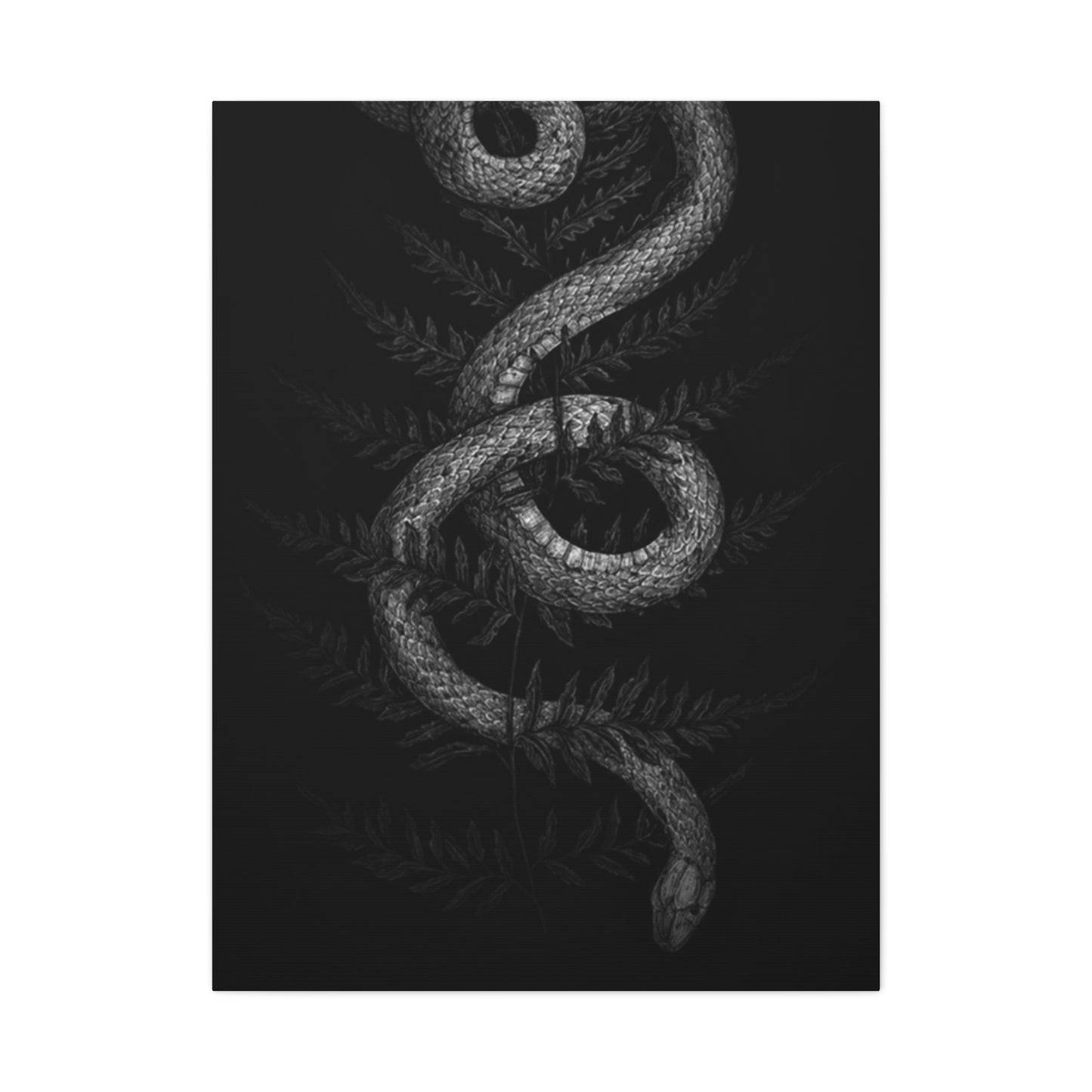 White Cobra Wall Art & Canvas Prints