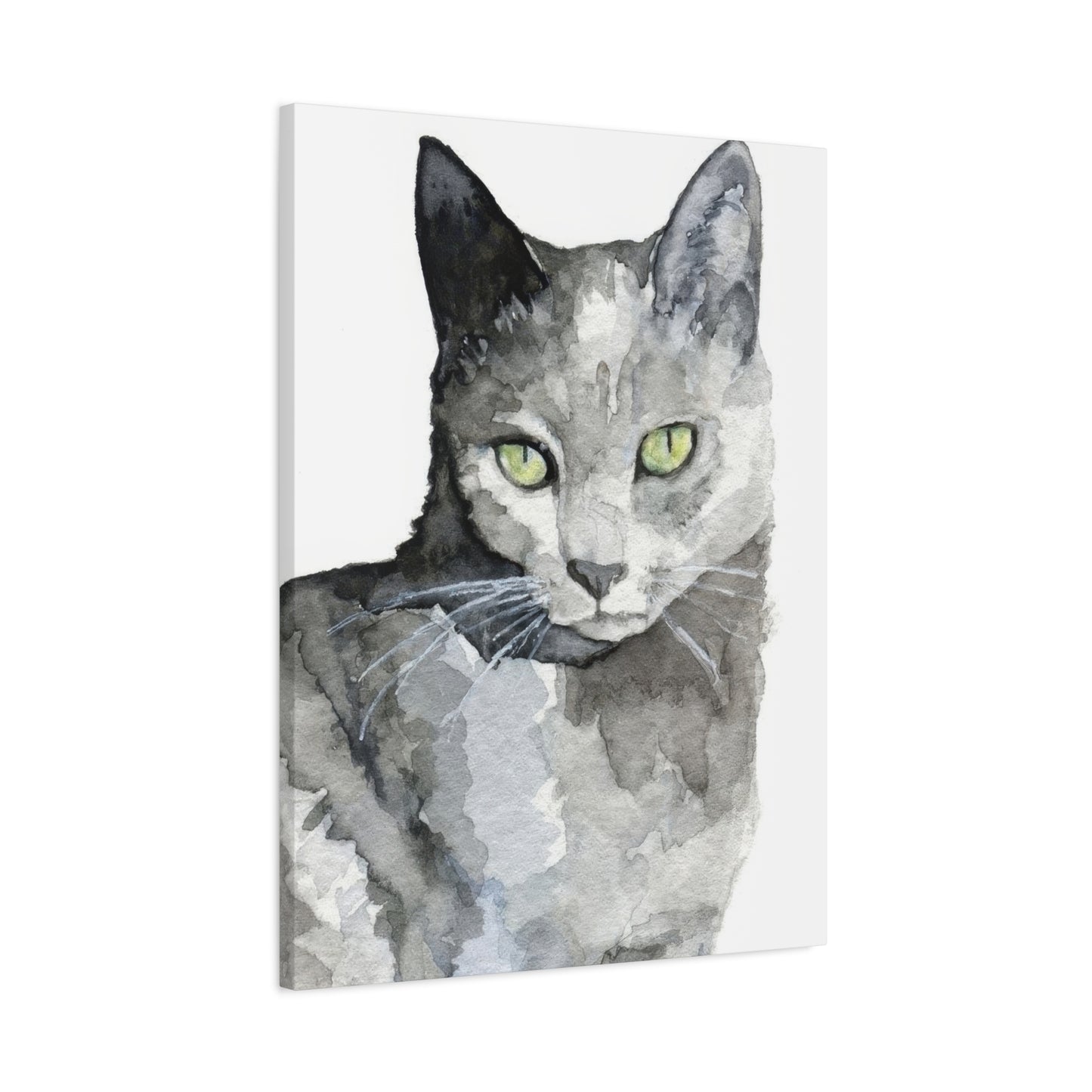 Cat Grey Wall Art & Canvas Prints