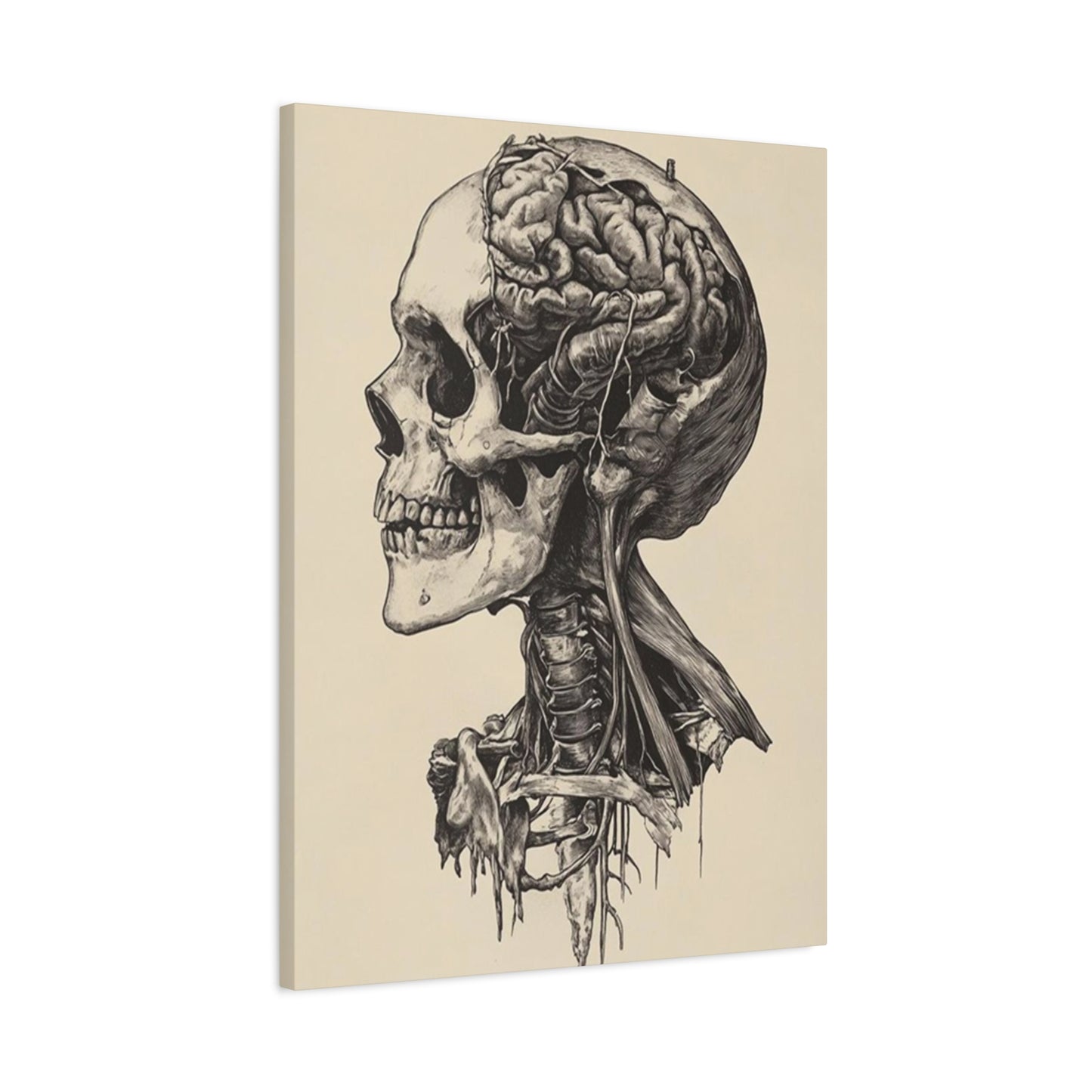 Brain In Skull Wall Art & Canvas Prints