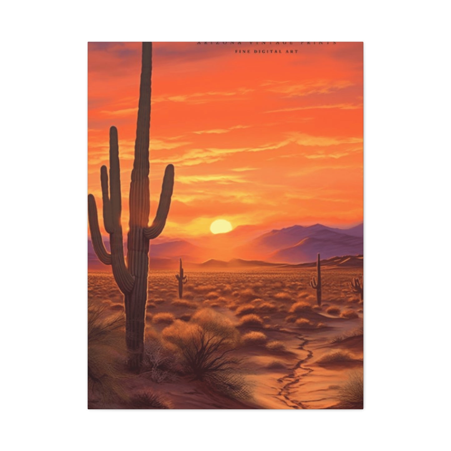 Cactus and Sunset in Desert Wall Art & Canvas Prints