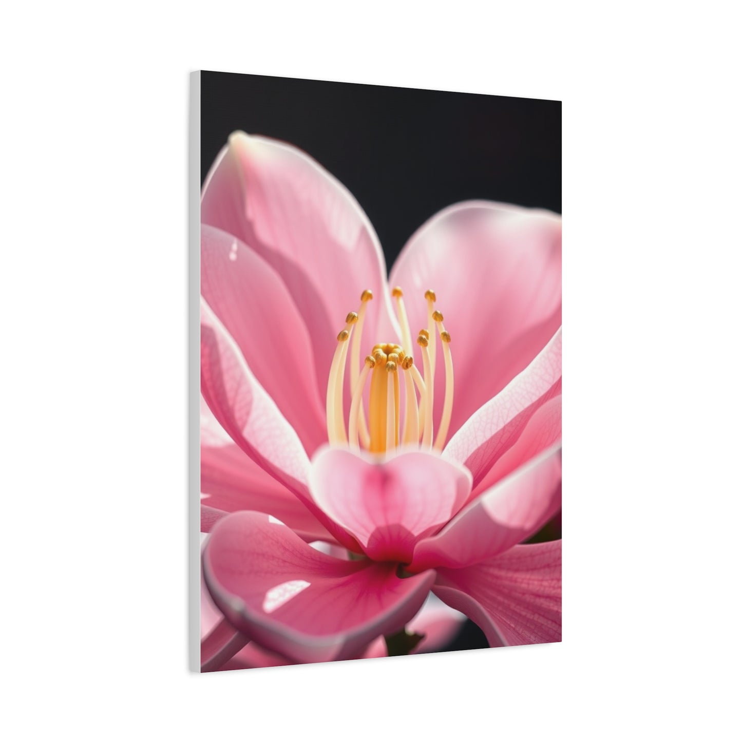 Magnolia Art Supreme Gallery Wall Art & Canvas Print