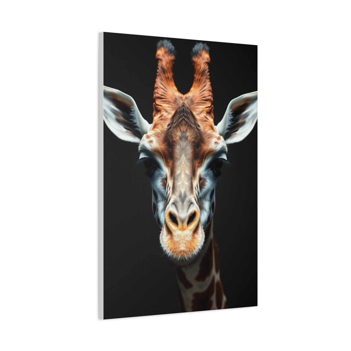 Lofty Silhouette Display wall art & canvas print