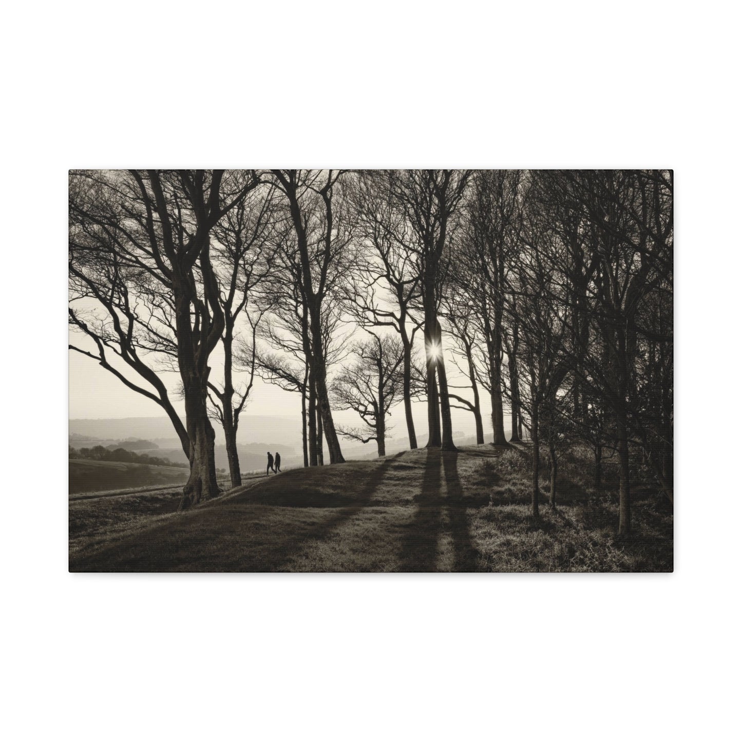 Forest Path at Dawn Wall Art & Canvas Prints