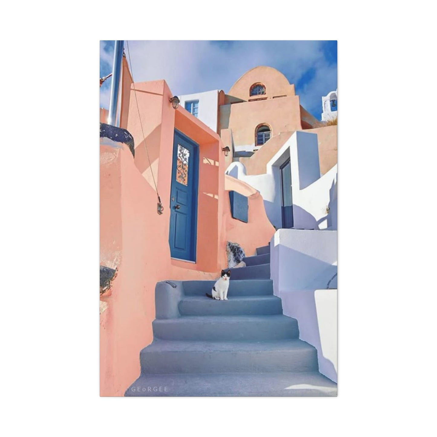 Cat On Street Of Spain Wall Art & Canvas Prints