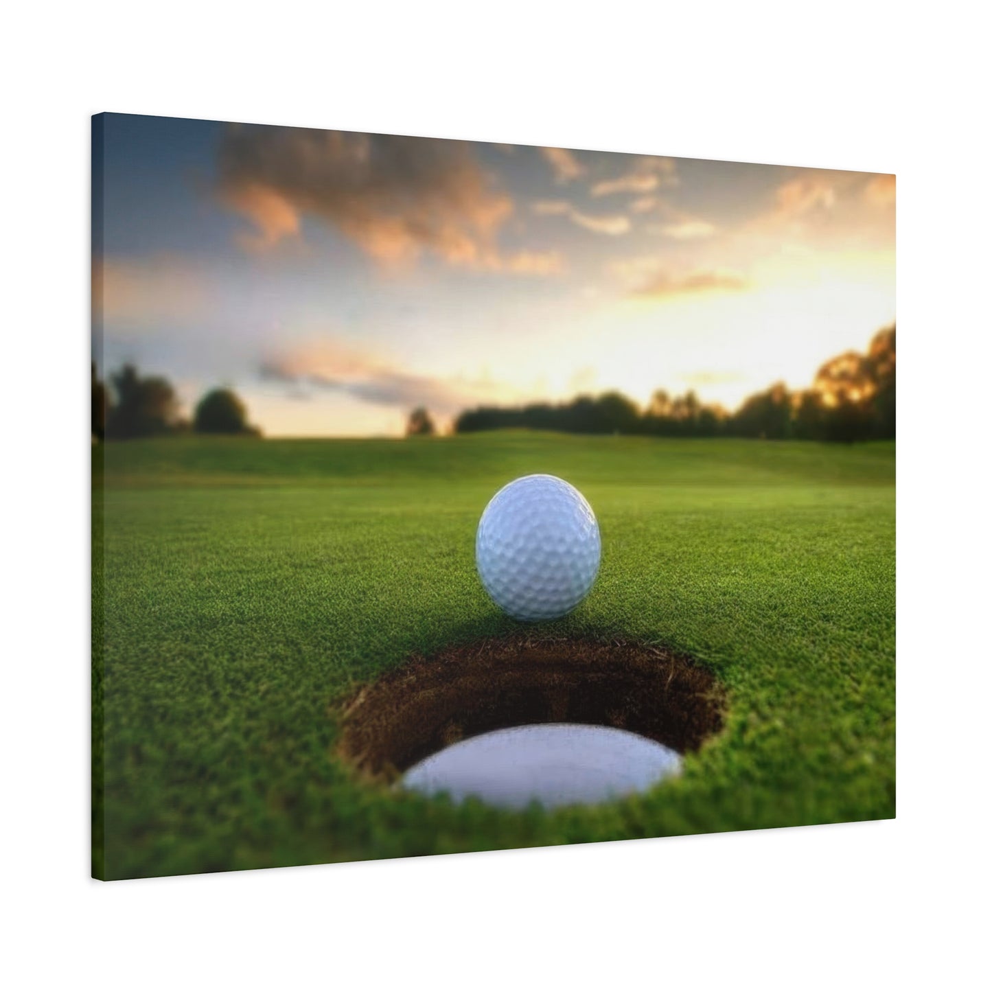 Golf Ball Cup Closeup Wall Art & Canvas Prints