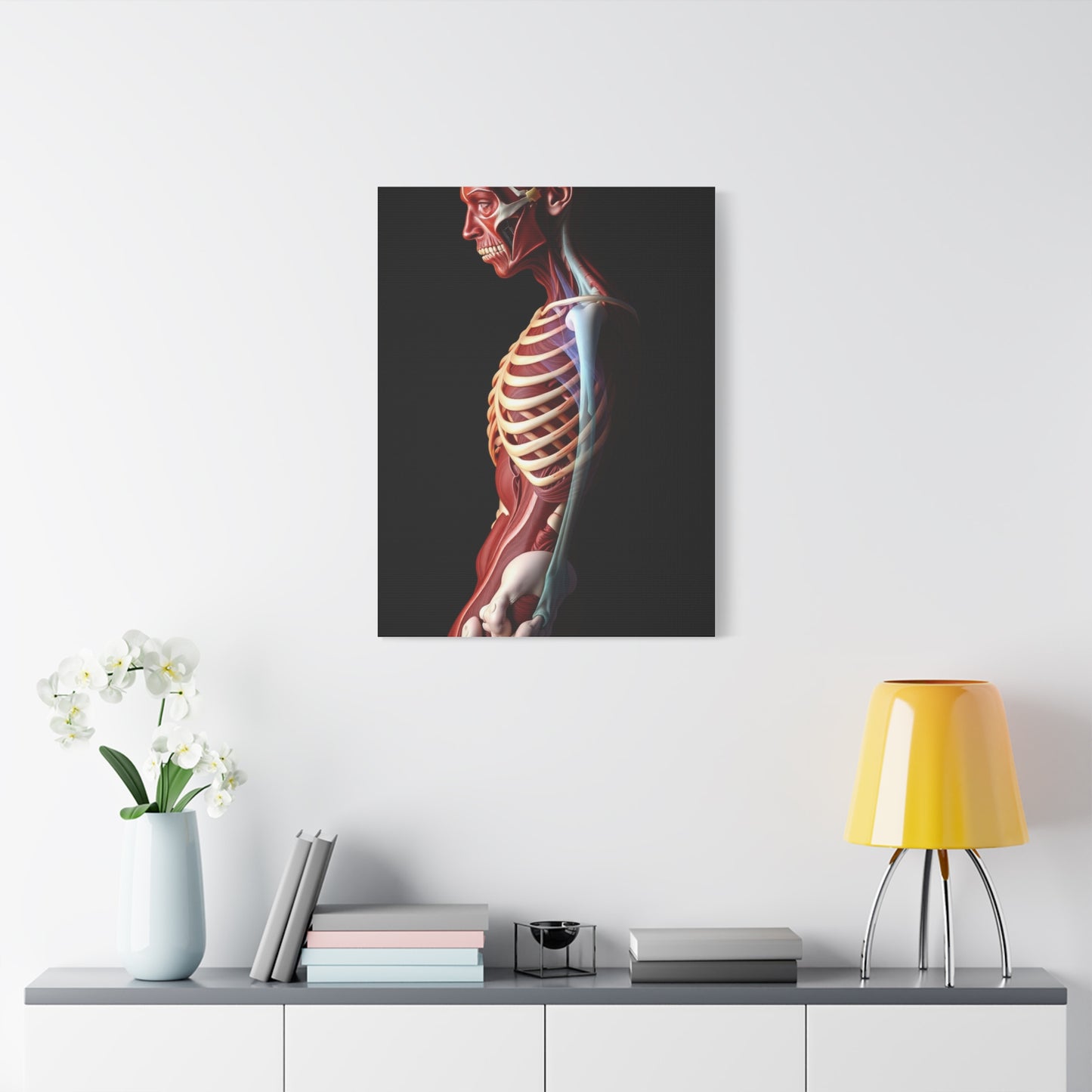 Supreme Art Collection Anatomy Wall Art & Canvas Print
