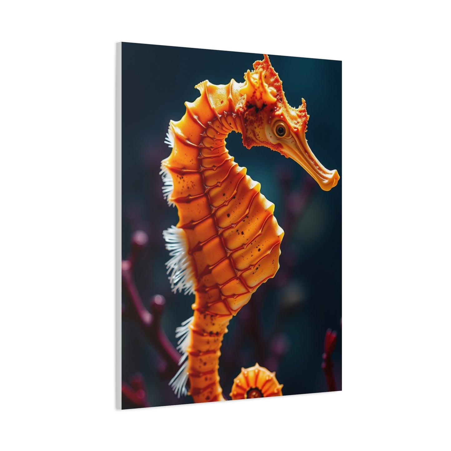 Seahorse Art Canvas Art 9 Wall Art & Canvas Print