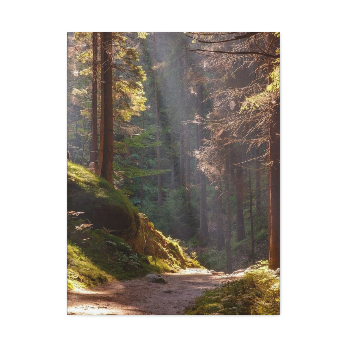 Autumn Forest Path Wall Art & Canvas Prints