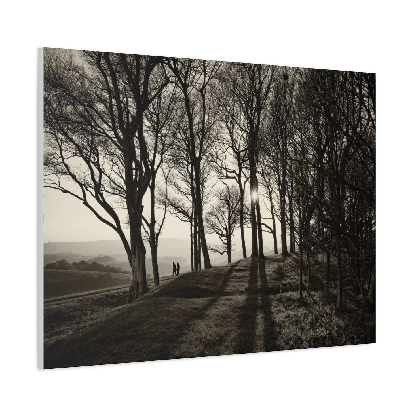 Forest Path at Dawn Wall Art & Canvas Prints