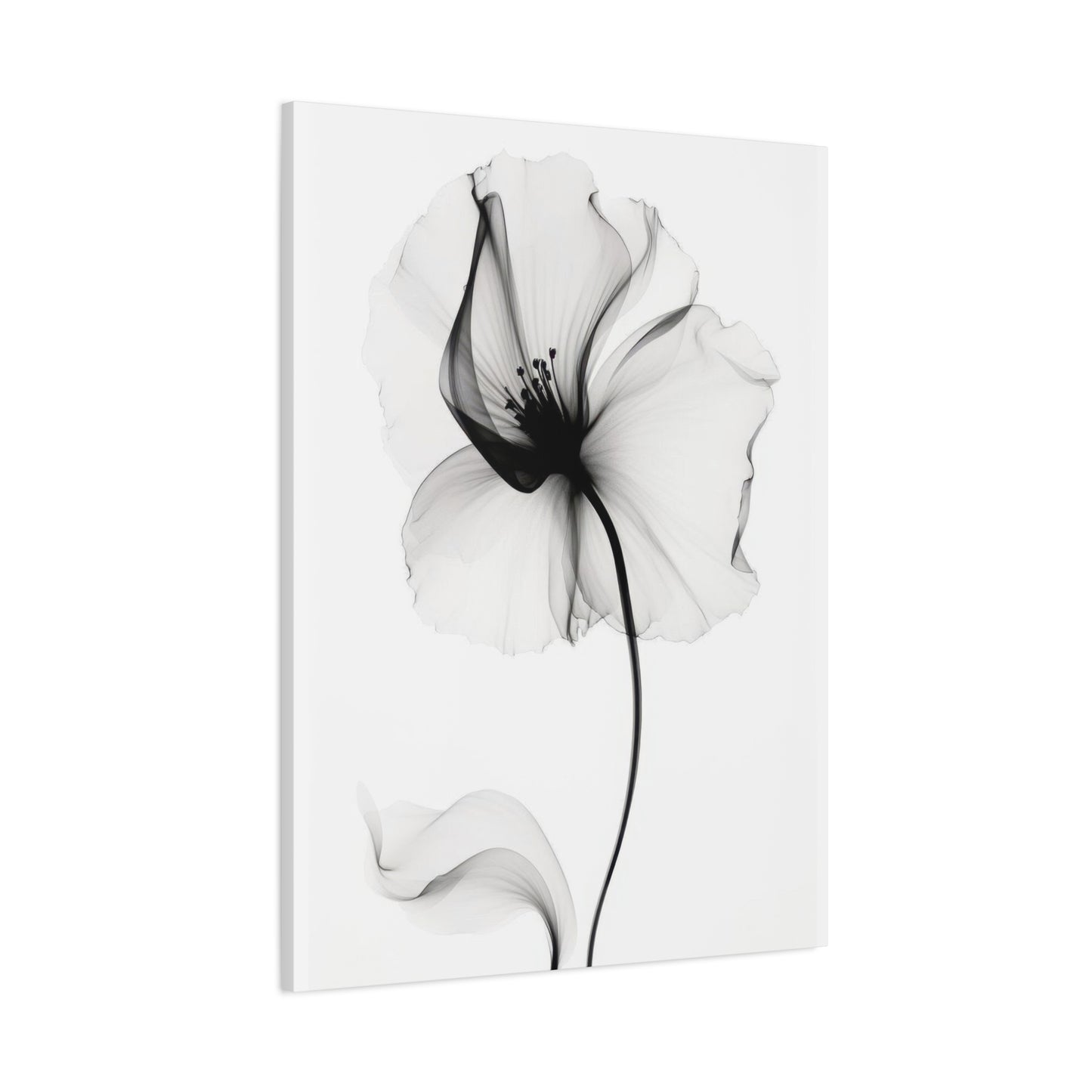 Flower Grey Wall Art & Canvas Prints