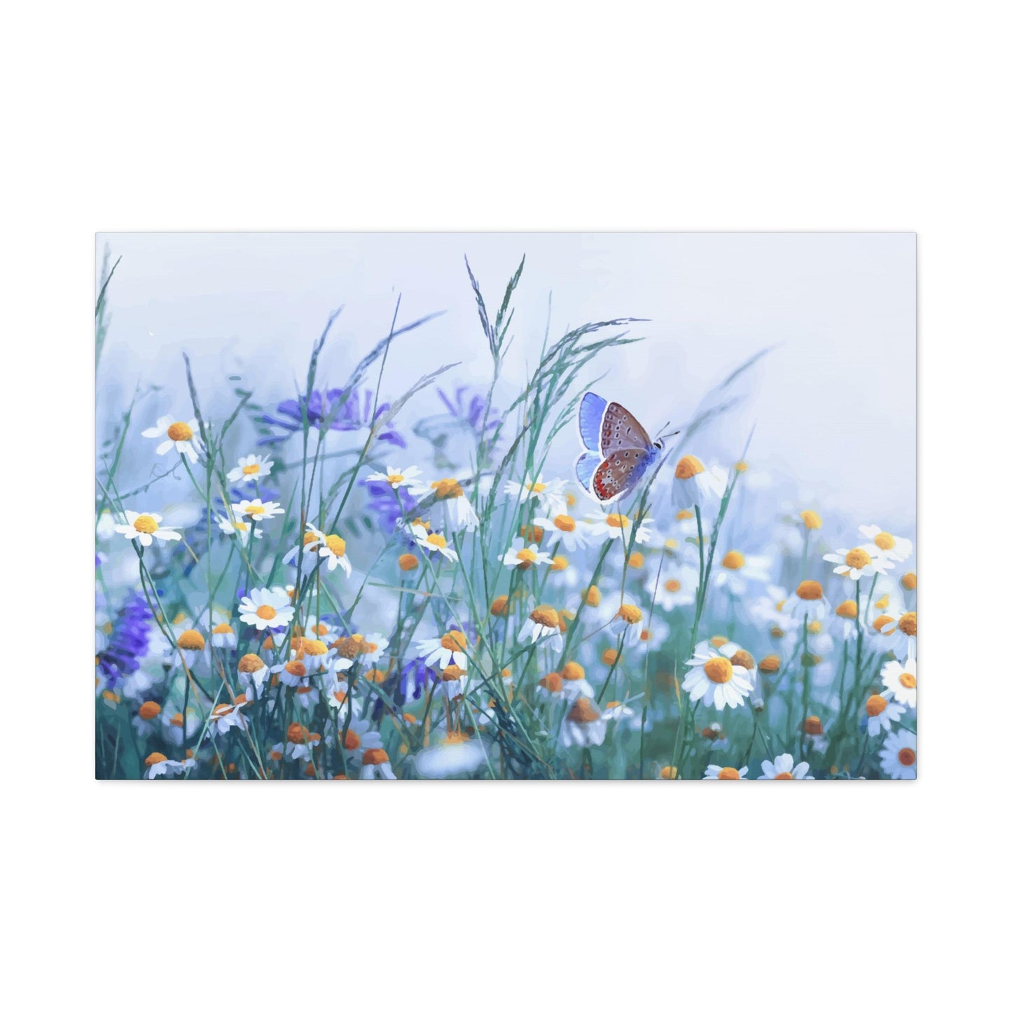 Butterfly Wall Art & Canvas Prints