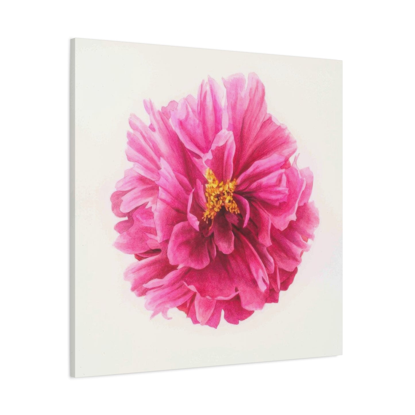 Grace Popp Pink Flower Head Wall Art & Canvas Prints