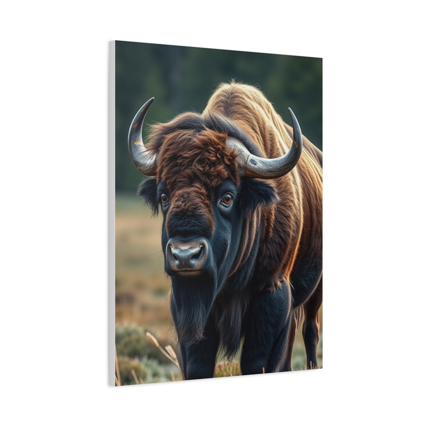 Regal Plains Portraiture Wall Art & Canvas Print